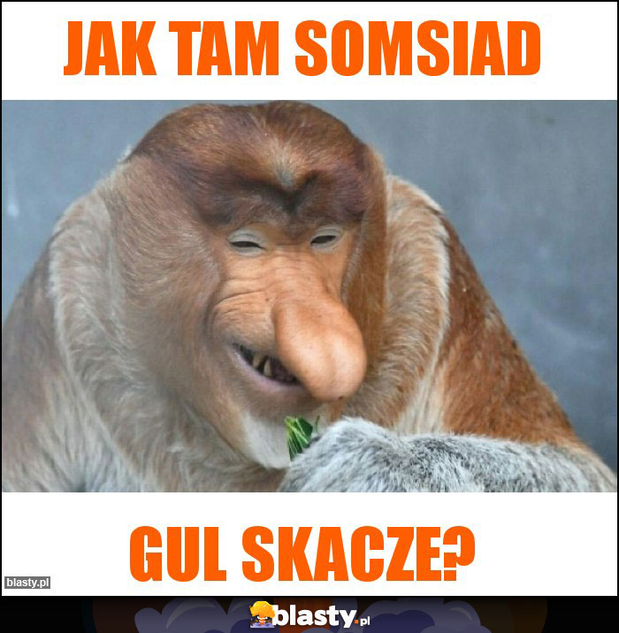JAK TAM SOMSIAD JAK TAM SOMSIAD