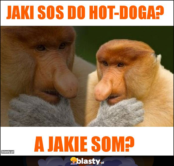 Jaki sos do hot-doga? Jaki sos do hot-doga?