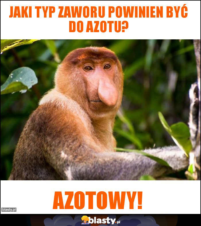 Jaki typ zaworu powinien być do azotu?