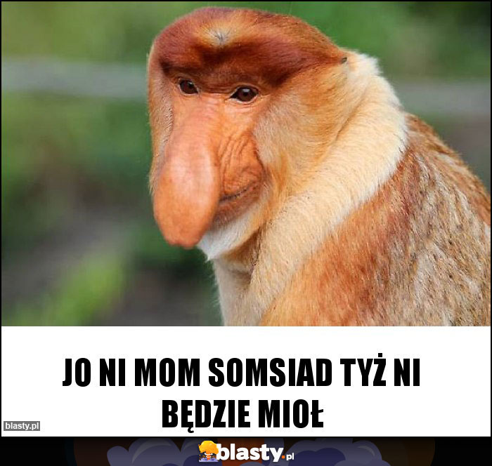 Jo ni mom somsiad tyż ni będzie mioł Jo ni mom somsiad tyż ni będzie mioł