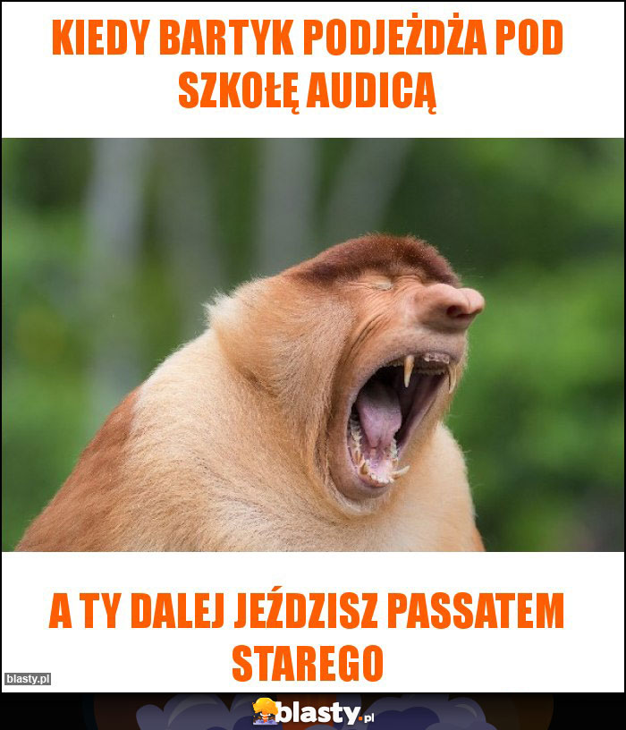 Kiedy bartyk podjeżdża pod szkołę audicą Kiedy bartyk podjeżdża pod szkołę audicą