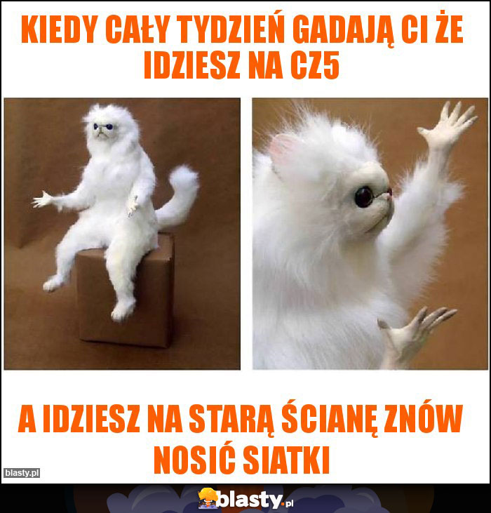 KIEDY CAŁY TYDZIEŃ GADAJĄ CI ŻE IDZIESZ NA CZ5 KIEDY CAŁY TYDZIEŃ GADAJĄ CI ŻE IDZIESZ NA CZ5