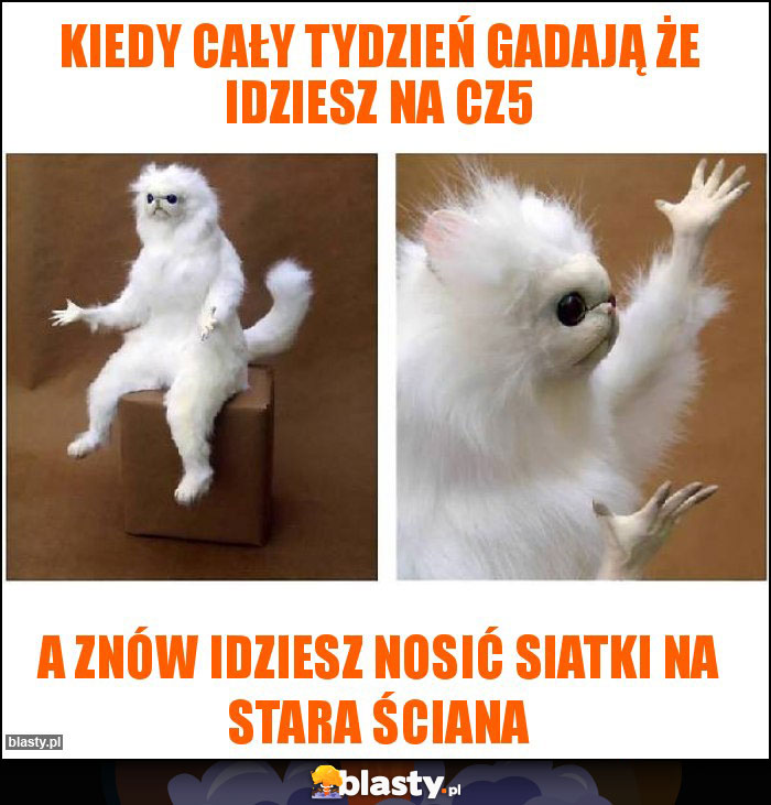 KIEDY CAŁY TYDZIEŃ GADAJĄ ŻE IDZIESZ NA CZ5 KIEDY CAŁY TYDZIEŃ GADAJĄ ŻE IDZIESZ NA CZ5