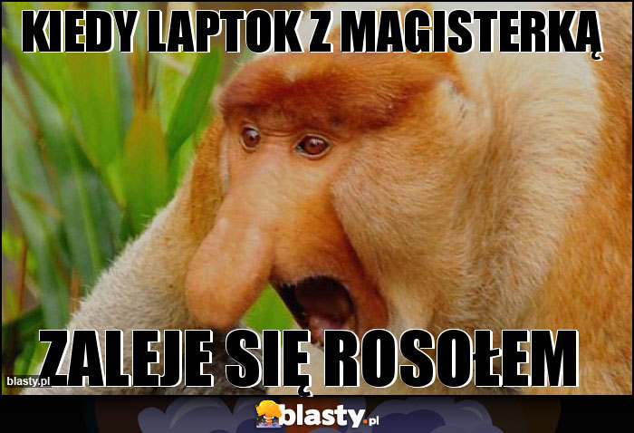 KIEDY LAPTOK Z MAGISTERKĄ KIEDY LAPTOK Z MAGISTERKĄ