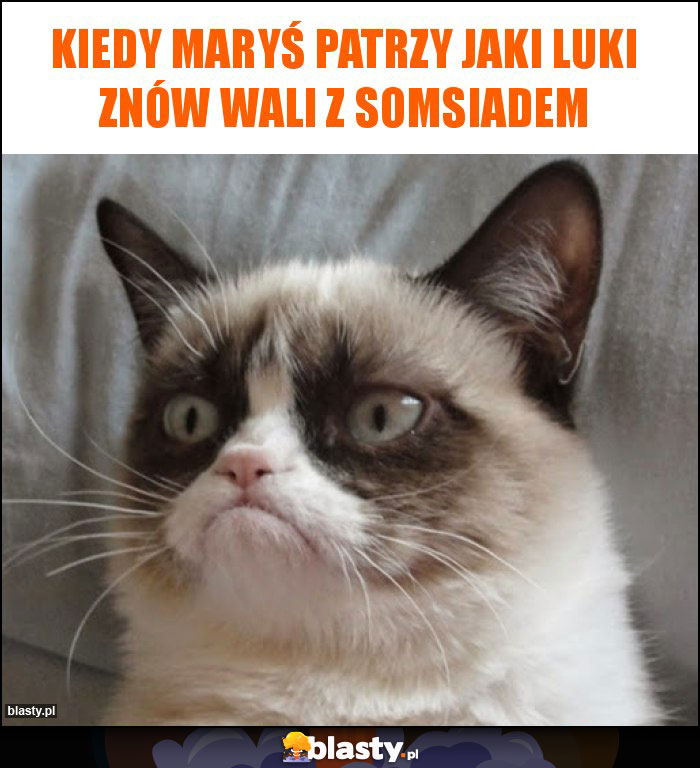 Kiedy maryś patrzy jaki luki znów wali z somsiadem Kiedy maryś patrzy jaki luki znów wali z somsiadem