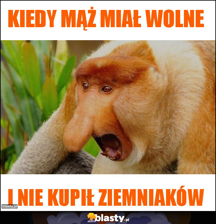 KIEDY MĄŻ MIAŁ WOLNE KIEDY MĄŻ MIAŁ WOLNE