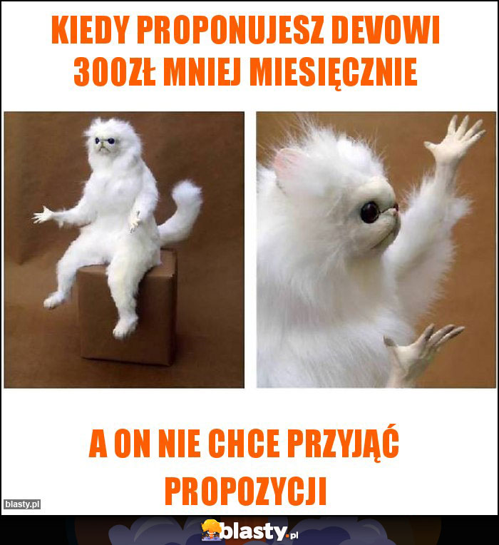 KIEDY PROPONUJESZ DEVOWI 300ZŁ MNIEJ MIESIĘCZNIE KIEDY PROPONUJESZ DEVOWI 300ZŁ MNIEJ MIESIĘCZNIE