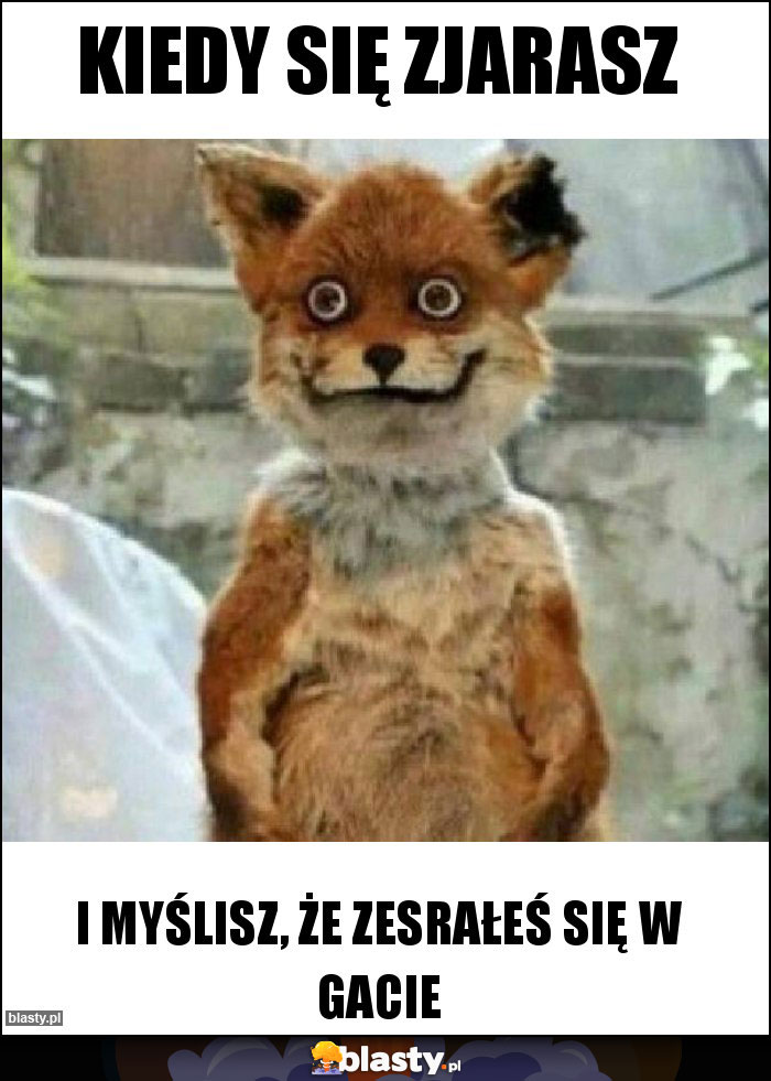 Kiedy się zjarasz Kiedy się zjarasz