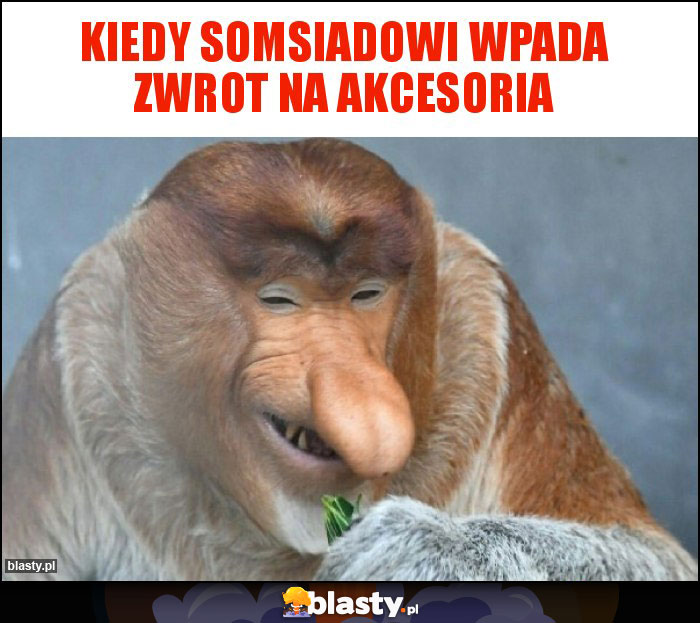 Kiedy Somsiadowi wpada zwrot na akcesoria Kiedy Somsiadowi wpada zwrot na akcesoria