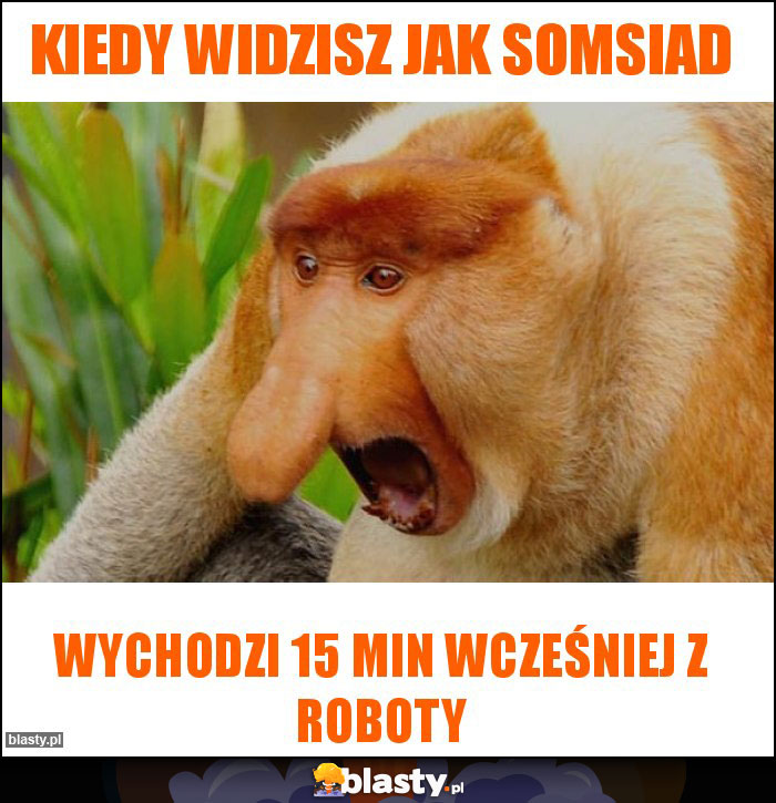 Kiedy widzisz jak somsiad Kiedy widzisz jak somsiad
