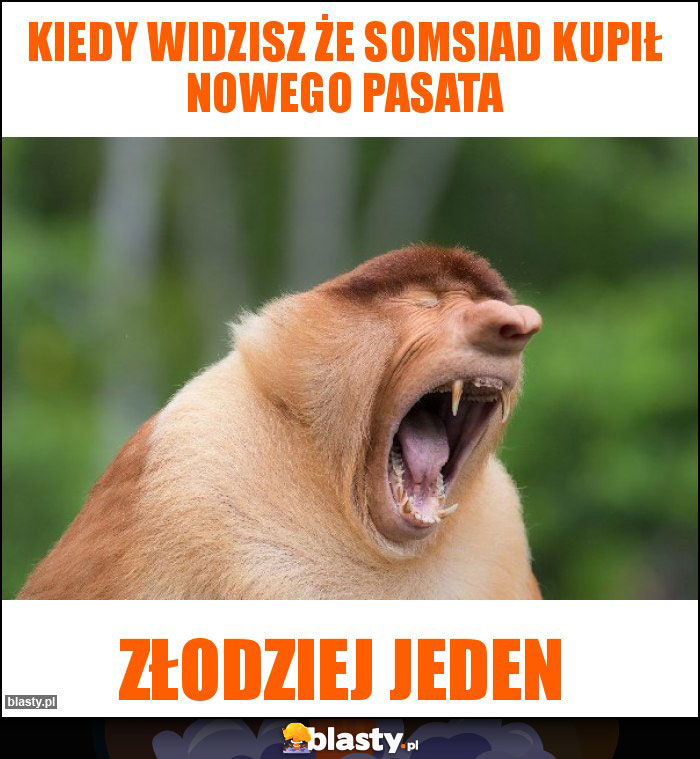 KIEDY WIDZISZ ŻE SOMSIAD KUPIŁ NOWEGO PASATA KIEDY WIDZISZ ŻE SOMSIAD KUPIŁ NOWEGO PASATA