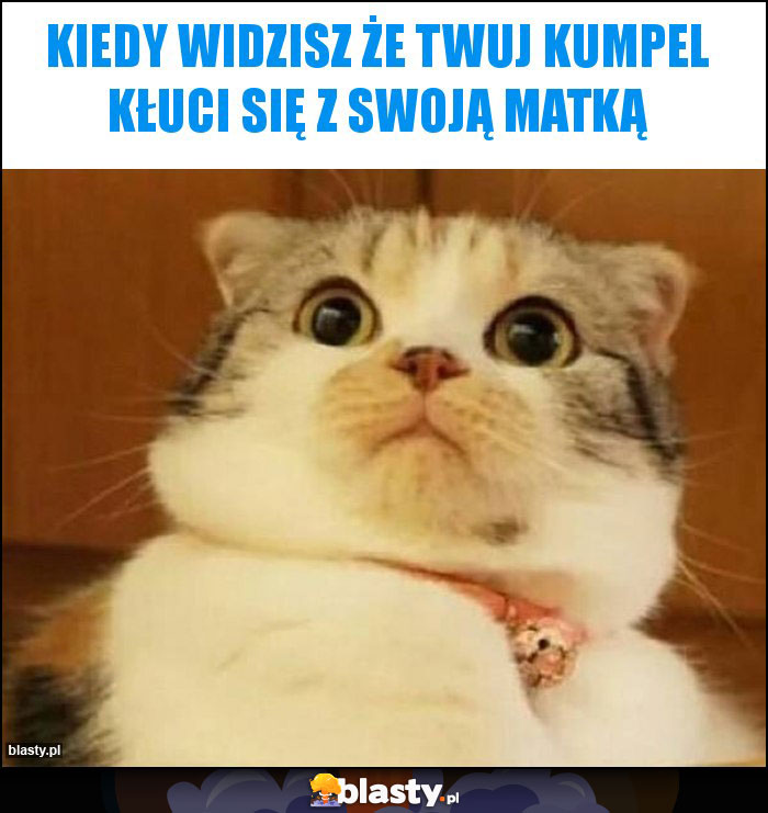kiedy widzisz że twuj kumpel kłuci się z swoją matką kiedy widzisz że twuj kumpel kłuci się z swoją matką