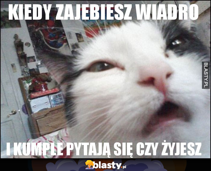 Kiedy zajebiesz wiadro Kiedy zajebiesz wiadro