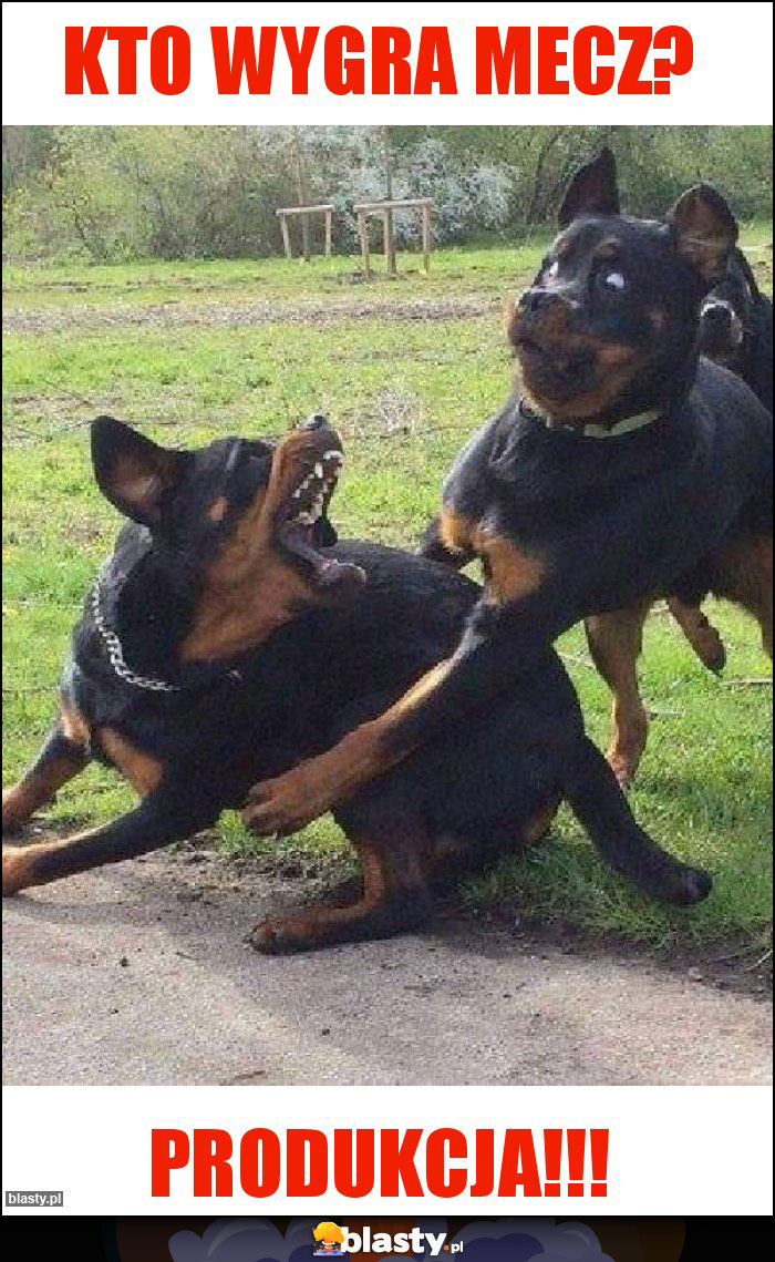 Kto wygra mecz? Kto wygra mecz?
