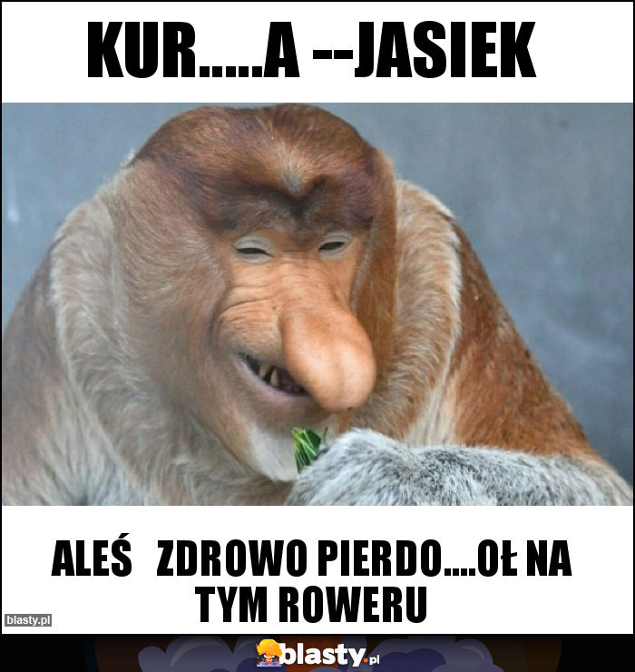 Kur.....a --Jasiek Kur.....a --Jasiek
