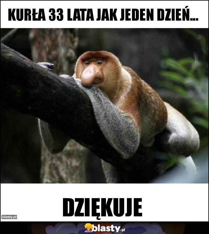 Kurła 33 lata jak jeden dzień... Kurła 33 lata jak jeden dzień...