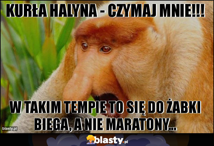 KURŁA HALYNA - CZYMAJ MNIE!!! KURŁA HALYNA - CZYMAJ MNIE!!!