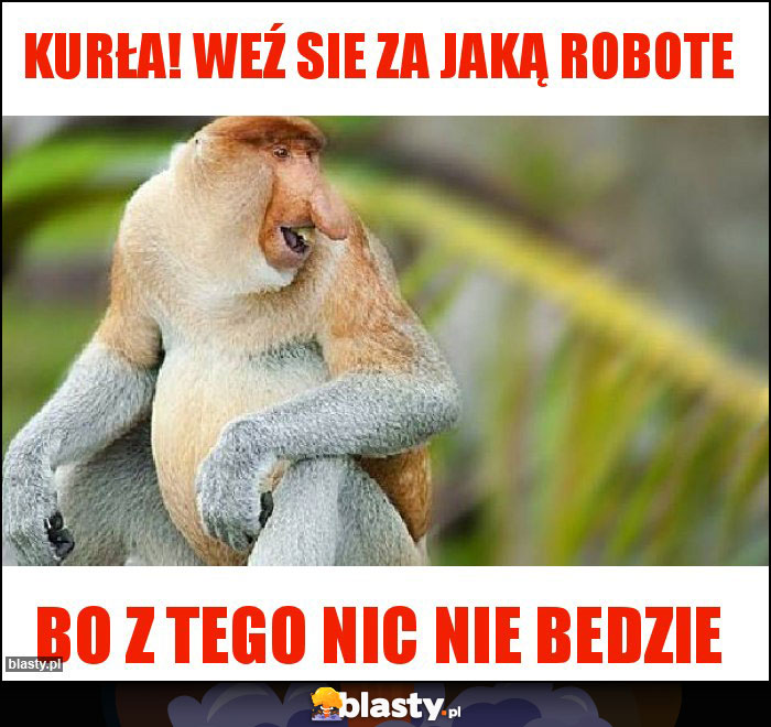 Kurła! Weź sie za jaką robote Kurła! Weź sie za jaką robote