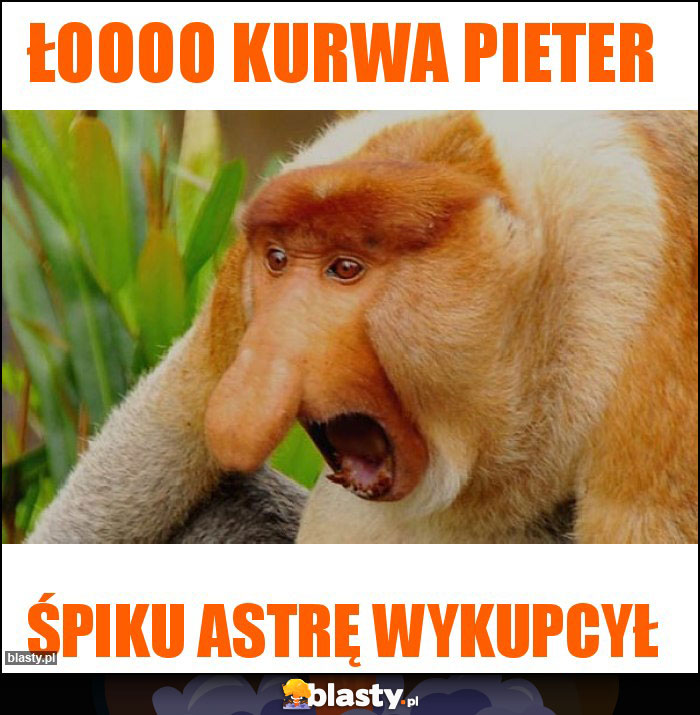 Łoooo kurwa Pieter Łoooo kurwa Pieter