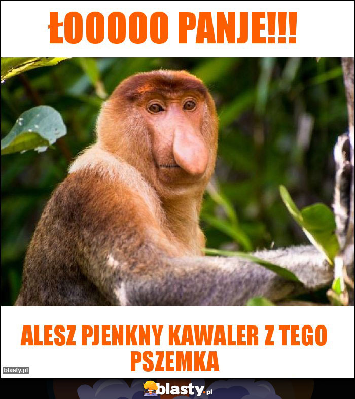 Łooooo panje!!! Łooooo panje!!!