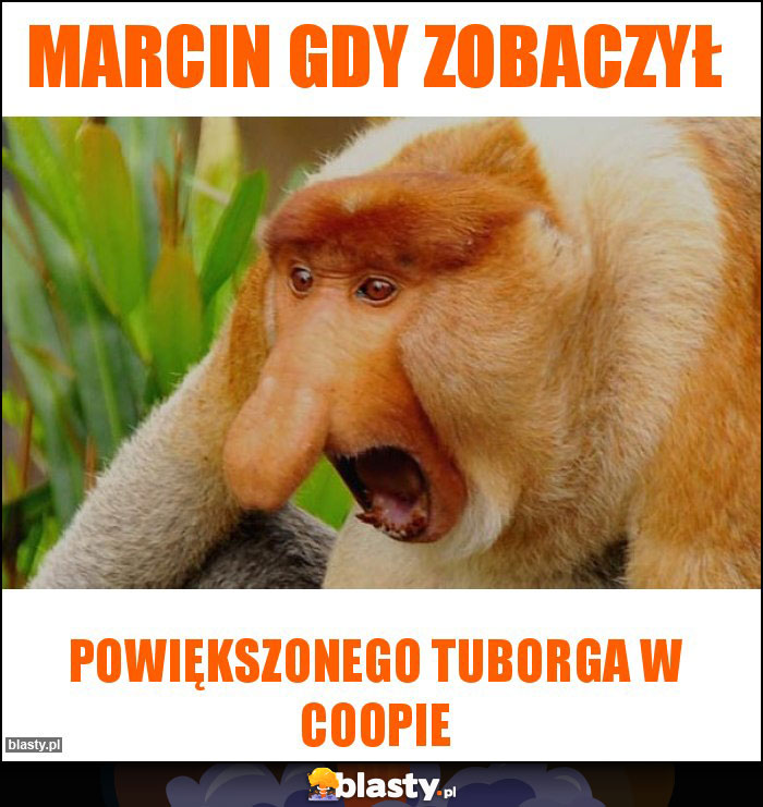 Marcin gdy zobaczył Marcin gdy zobaczył