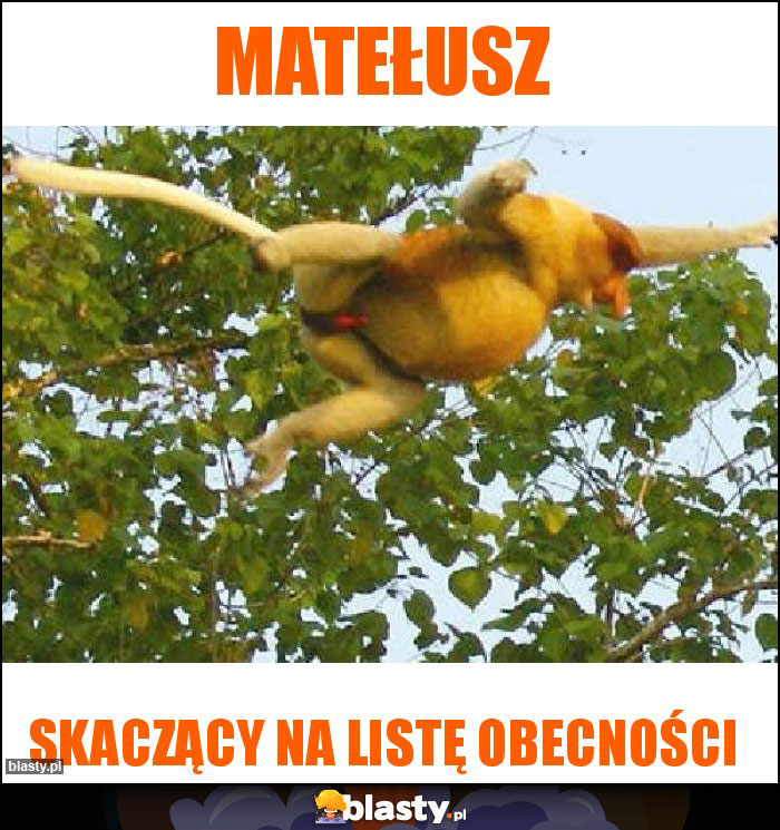 Matełusz