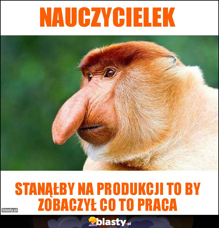 nauczycielek nauczycielek