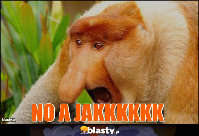 no a jakkkkkk no a jakkkkkk