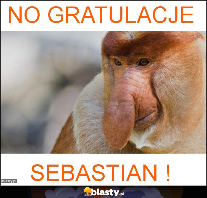 No Gratulacje No Gratulacje
