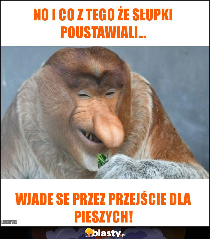 NO I CO Z TEGO ŻE SŁUPKI POUSTAWIALI... NO I CO Z TEGO ŻE SŁUPKI POUSTAWIALI...