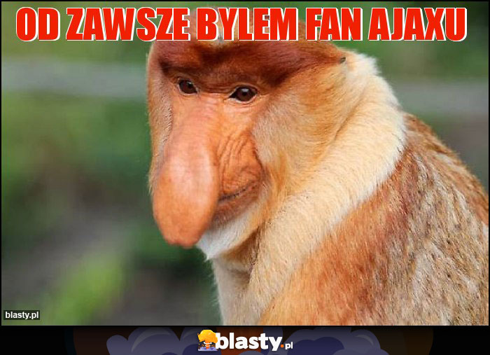 od zawsze bylem fan ajaxu od zawsze bylem fan ajaxu