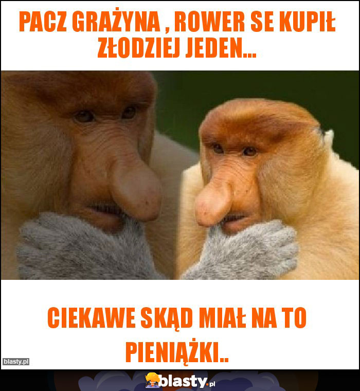 Pacz Grażyna , Rower se kupił złodziej jeden... Pacz Grażyna , Rower se kupił złodziej jeden...