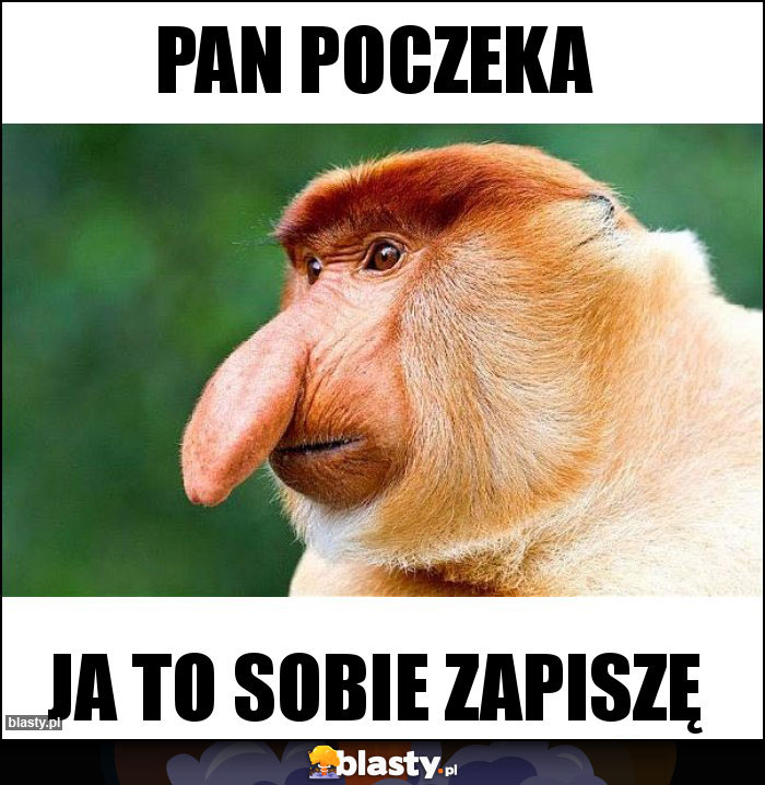pan poczeka pan poczeka