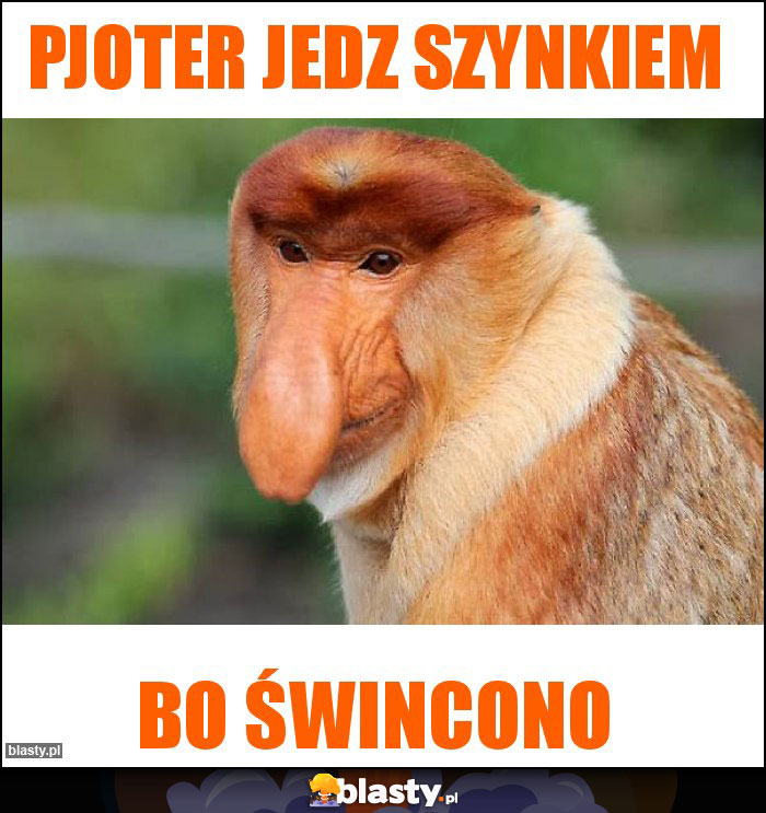 Pjoter jedz szynkiem Pjoter jedz szynkiem