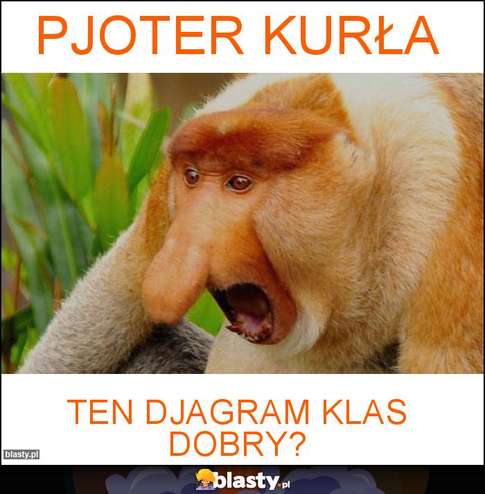 PJOTER KURŁA PJOTER KURŁA