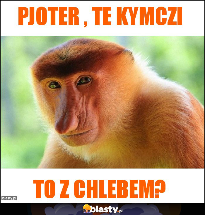 Pjoter , te kymczi Pjoter , te kymczi