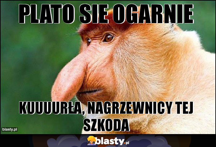 Plato sie ogarnie Plato sie ogarnie