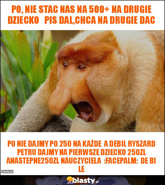 PO, nie stac nas na 500+ na drugie dziecko PiS dal,chca na drugie dac PO, nie stac nas na 500+ na drugie dziecko PiS dal,chca na drugie dac