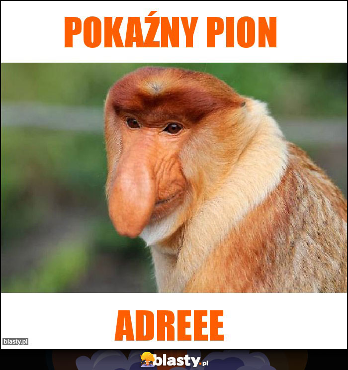 Pokaźny pion Pokaźny pion