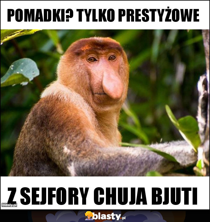 Pomadki? Tylko prestyżowe Pomadki? Tylko prestyżowe