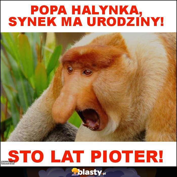 Popa Halynka, synek ma urodziny! Popa Halynka, synek ma urodziny!