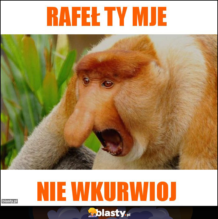 RAFEŁ TY MJE RAFEŁ TY MJE