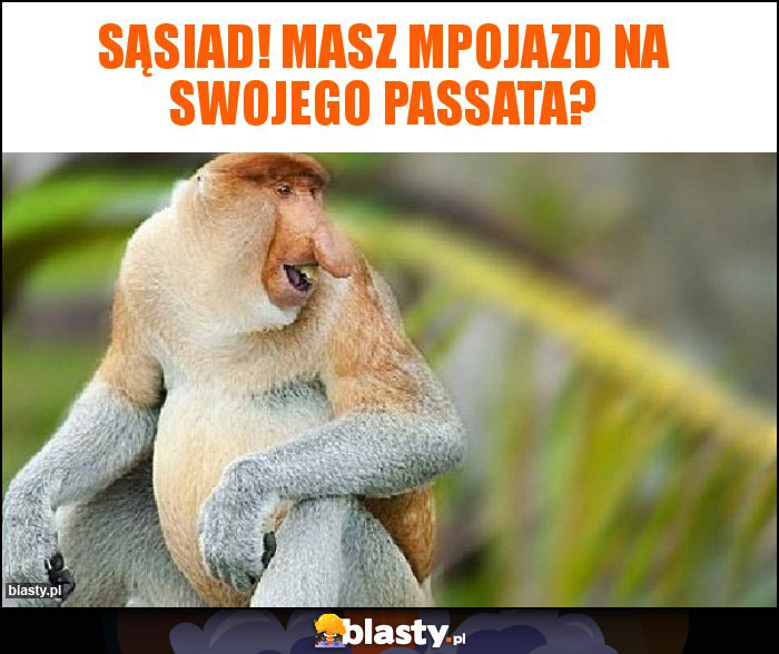 Sąsiad! Masz mPojazd na swojego Passata? Sąsiad! Masz mPojazd na swojego Passata?