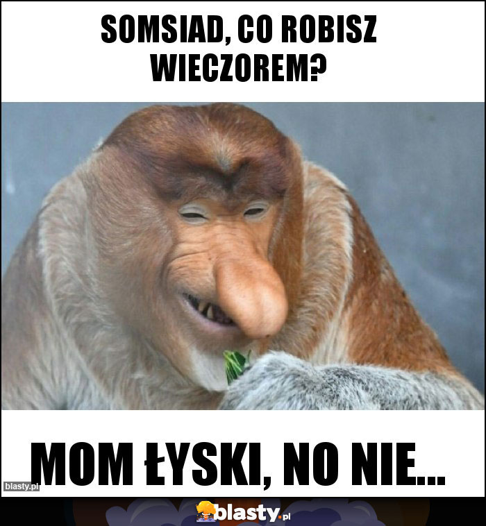 Somsiad, co robisz wieczorem? Somsiad, co robisz wieczorem?
