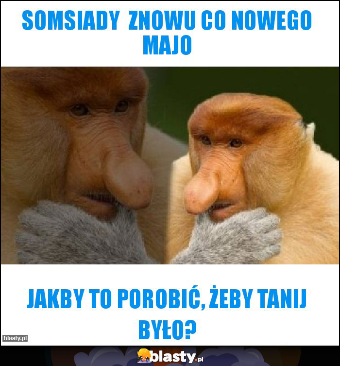 Somsiady znowu co nowego majo Somsiady znowu co nowego majo
