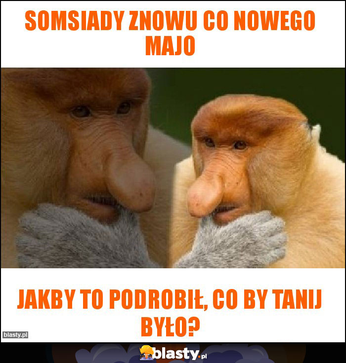 Somsiady znowu co nowego majo Somsiady znowu co nowego majo