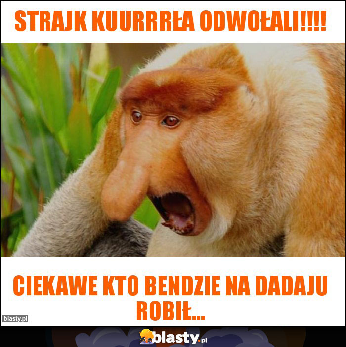 Strajk kuurrrła odwołali!!!!