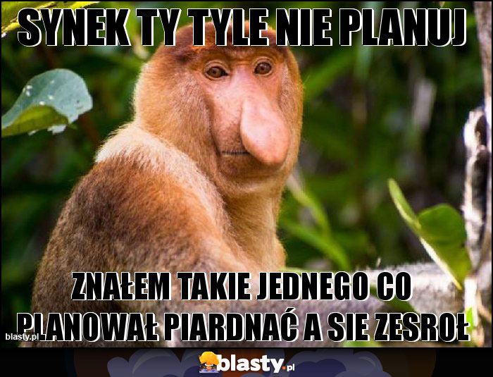 Synek ty tyle nie planuj Synek ty tyle nie planuj