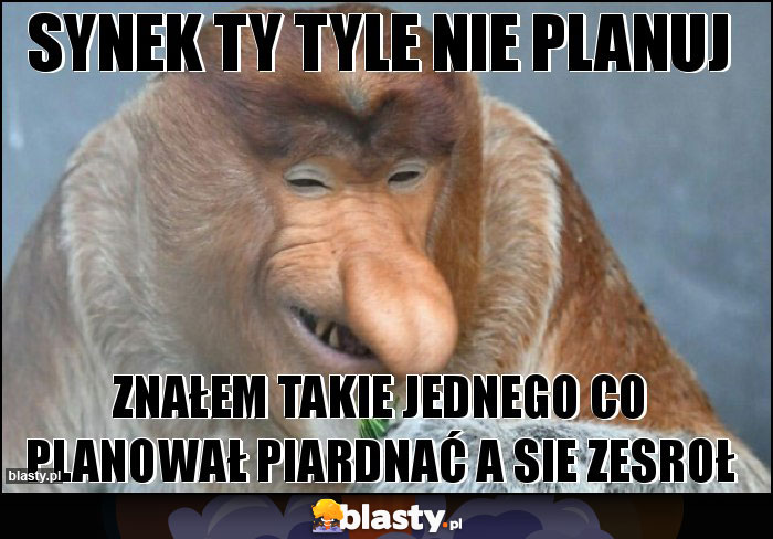 Synek ty tyle nie planuj Synek ty tyle nie planuj