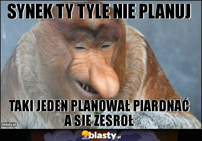 Synek ty tyle nie planuj Synek ty tyle nie planuj